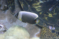 OLYMPUS DIGITAL CAMERA OLYMPUS DIGITAL CAMERA