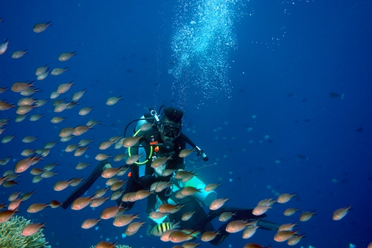 Dive Guide Siladen